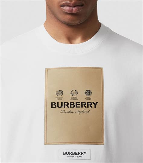 tshirt burberry homme|Burberry t shirt women's.